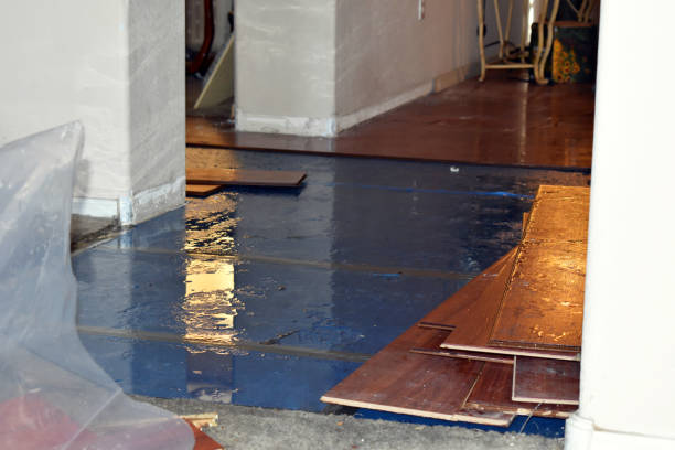Professional Burst Pipe Cleanup technician working in Upland, PA